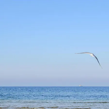 Beautiful In Apartmán Jezierzany