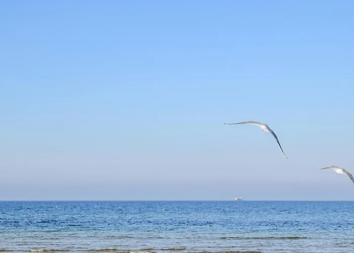 Beautiful In Apartman Jezierzany